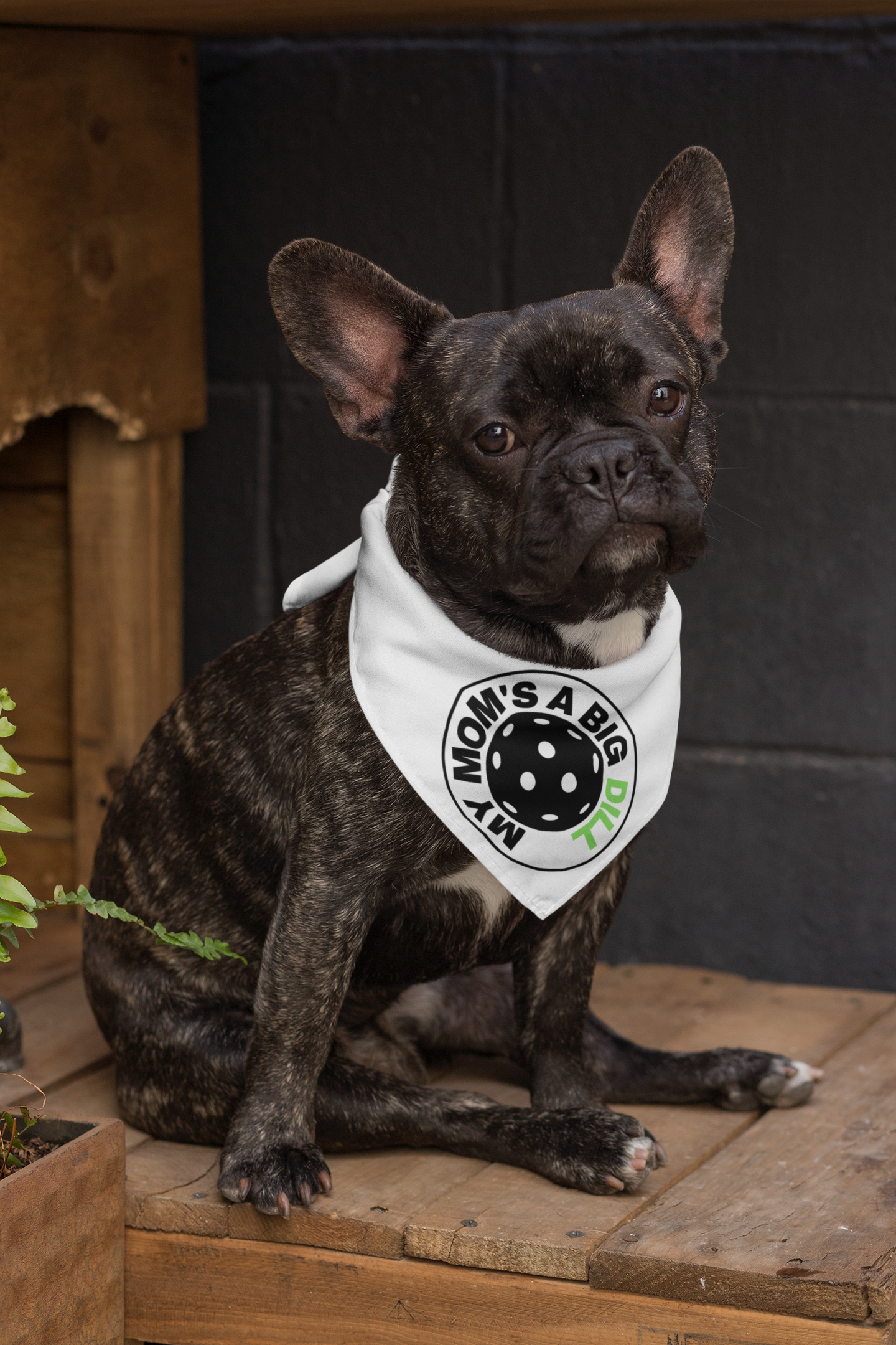 Pickleball Pet Bandana "My Mom's A Big Dill"